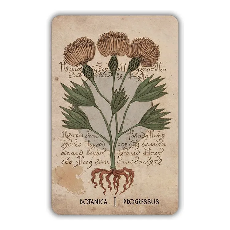 Оракул Войнича (Voinich Oracle), с инструкцией