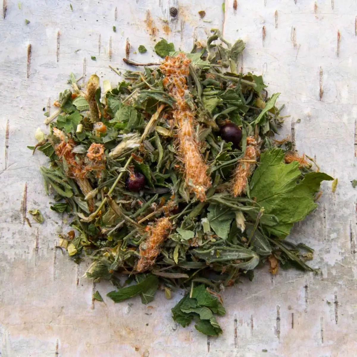 Чай "Сила Кабана"