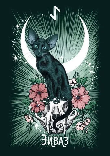 Рунический оракул "Фамильяры ведьмы" (24 карты и руководство)