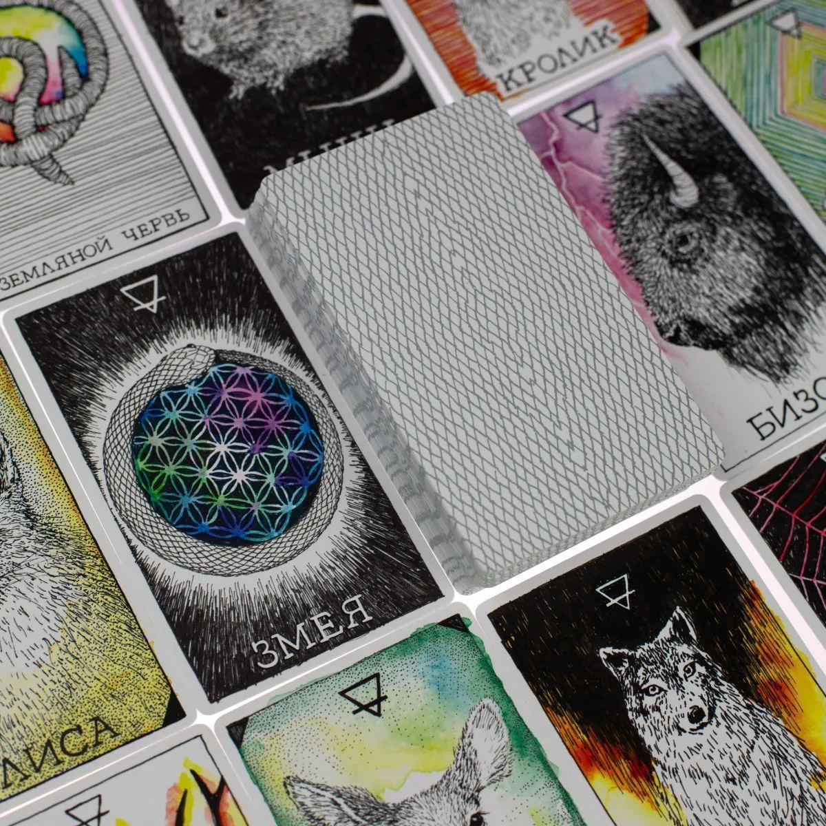 Оракул "Дикое Неизвестное тотемное животное" (The Wild Unknown Animal Spirit)