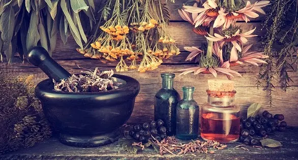 Лекарственные растения и их применение в магии