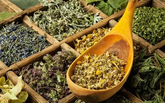 Как использовать сушеные лекарственные травы