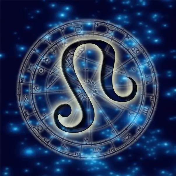 Шунгит_влияние на знаки зодиака
