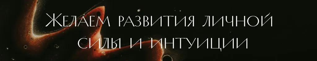 сила.jpg
