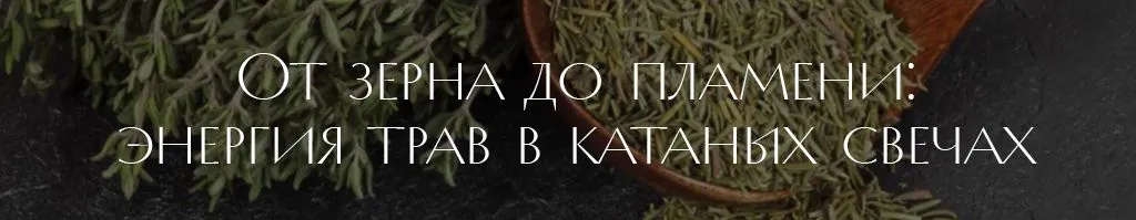 катаные.jpg