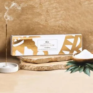 Благовония Pure In