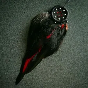 Ловец снов с одним кольцом