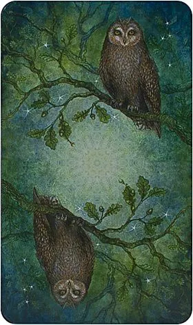 Таро Волшебного Леса (Forest of Enchantment Tarot)