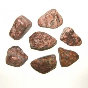 Яшма леопардовая, галтовка 0,5-2,5 см (ок. 7 г), 1 шт. фото