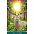 Универсальное Таро Кельтов мини (Mini Universal Celtic Tarot)