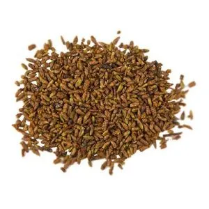 Березовая почка 30 гр