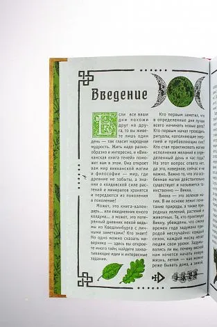 А. Саргсян "Викка. Книга теней"