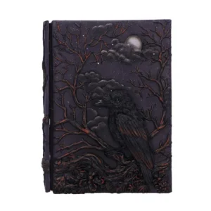 Книга теней