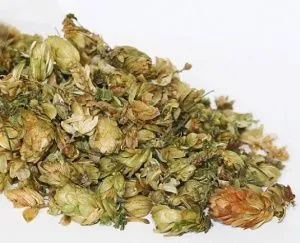 Хмель (шишки, 35 гр)