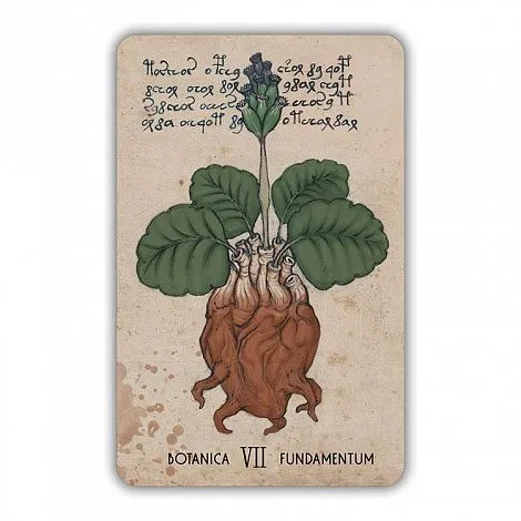 Оракул Войнича (Voinich Oracle), с инструкцией