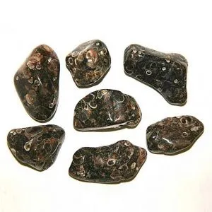 Агат черепаховый, галтовка 0,5-2 см (ок.5 г), 1 шт. фото