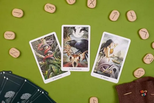 Подарочный набор "Таро Дикого леса" (The Wildwood Tarot)