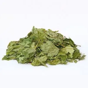 Смородина (лист, 30 гр)