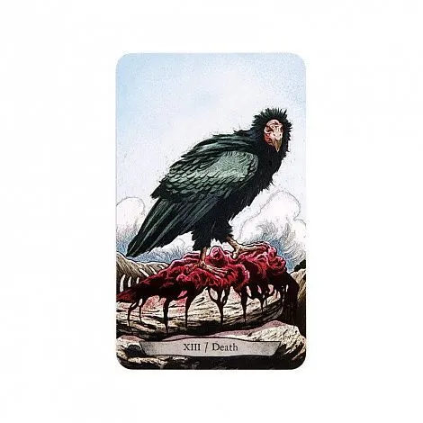 Набор "Animal Totem Tarot" (Таро Тотемных Животных, карты + книга)