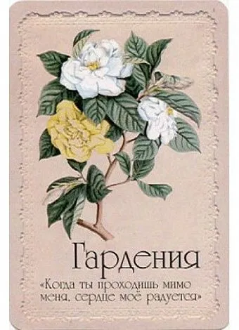 Оракул "Селам или Язык Цветов"