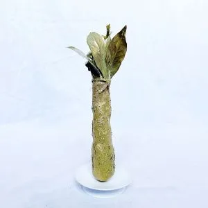 Катаная живая свеча 