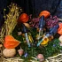 Колдовское масло "Мудрость Осени"