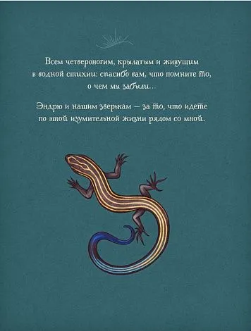 Книга-оракул "Магический бестиарий. Вдохновляющие послания и ритуалы от 36 волшебных животных"