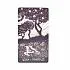Light Visions Tarot