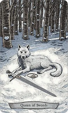 Набор "Animal Totem Tarot" (Таро Тотемных Животных, карты + книга)