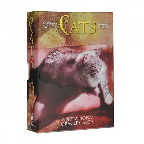 Кошачий Оракул