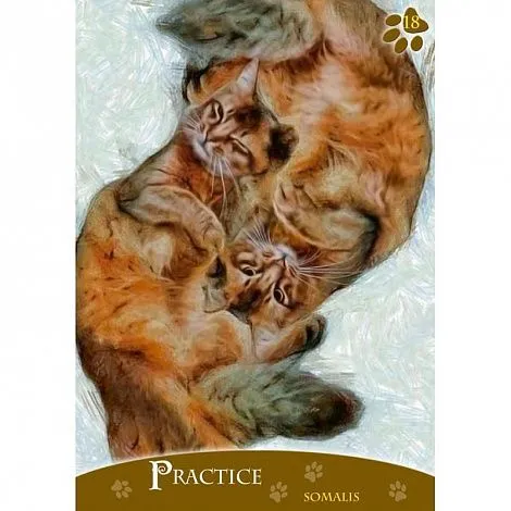 Кошачий Оракул