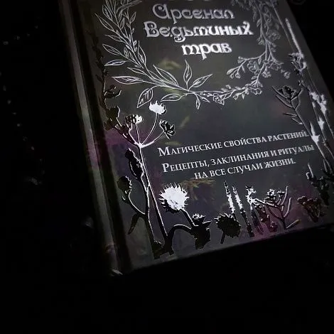 Ася Заботина "Арсенал ведьминых трав"
