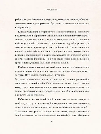 Книга-оракул "Магический бестиарий. Вдохновляющие послания и ритуалы от 36 волшебных животных"