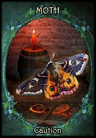 Оракул "Ведьмины Фамильяры" (Witches' Familiars Oracle Cards)