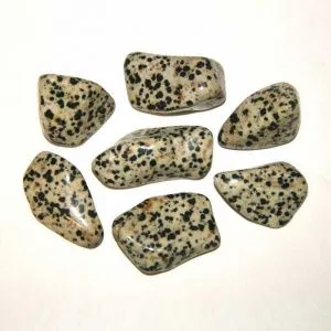 Яшма далматиновая, галтовка 0,5-2 см (ок. 12 г), 1 шт. фото