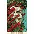 Таро Святой Смерти мини (Mini Santa Muerte Tarot)