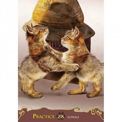 Кошачий Оракул