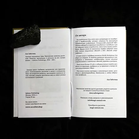 Ася Заботина "Арсенал ведьминых трав"