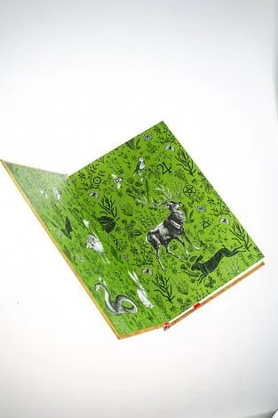 А. Саргсян "Викка. Книга теней"