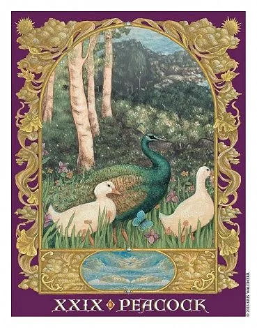 Sacred World Oracle