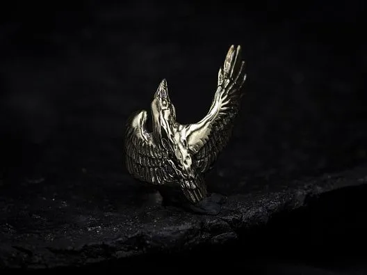 Кольцо "Корвус-защитник" из бронзы