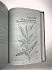 Раокриом "Большая книга целительных трав. Магия ароматов"
