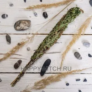Пучки папоротника с полынью для окуривания фото