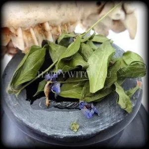 Барвинок (пакет 10 гр.)