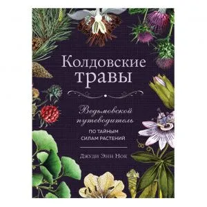 Джуди Энн Нок 