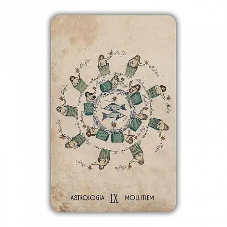 Оракул Войнича (Voinich Oracle), с инструкцией