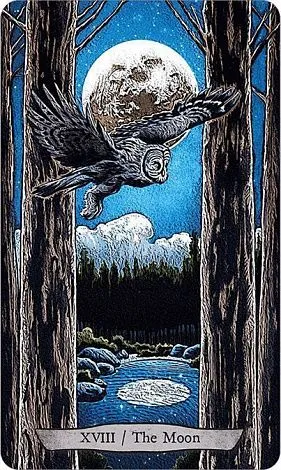 Набор "Animal Totem Tarot" (Таро Тотемных Животных, карты + книга)