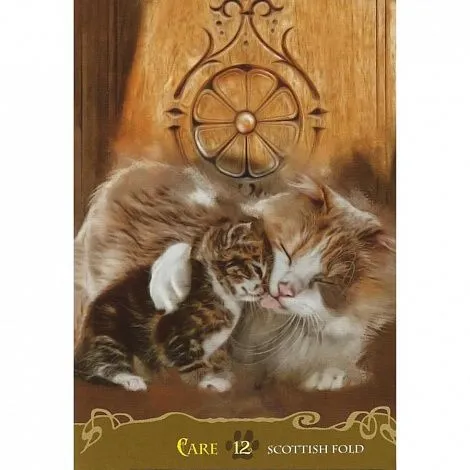 Кошачий Оракул