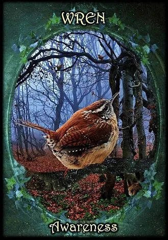 Оракул "Ведьмины Фамильяры" (Witches' Familiars Oracle Cards)
