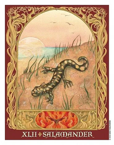 Sacred World Oracle